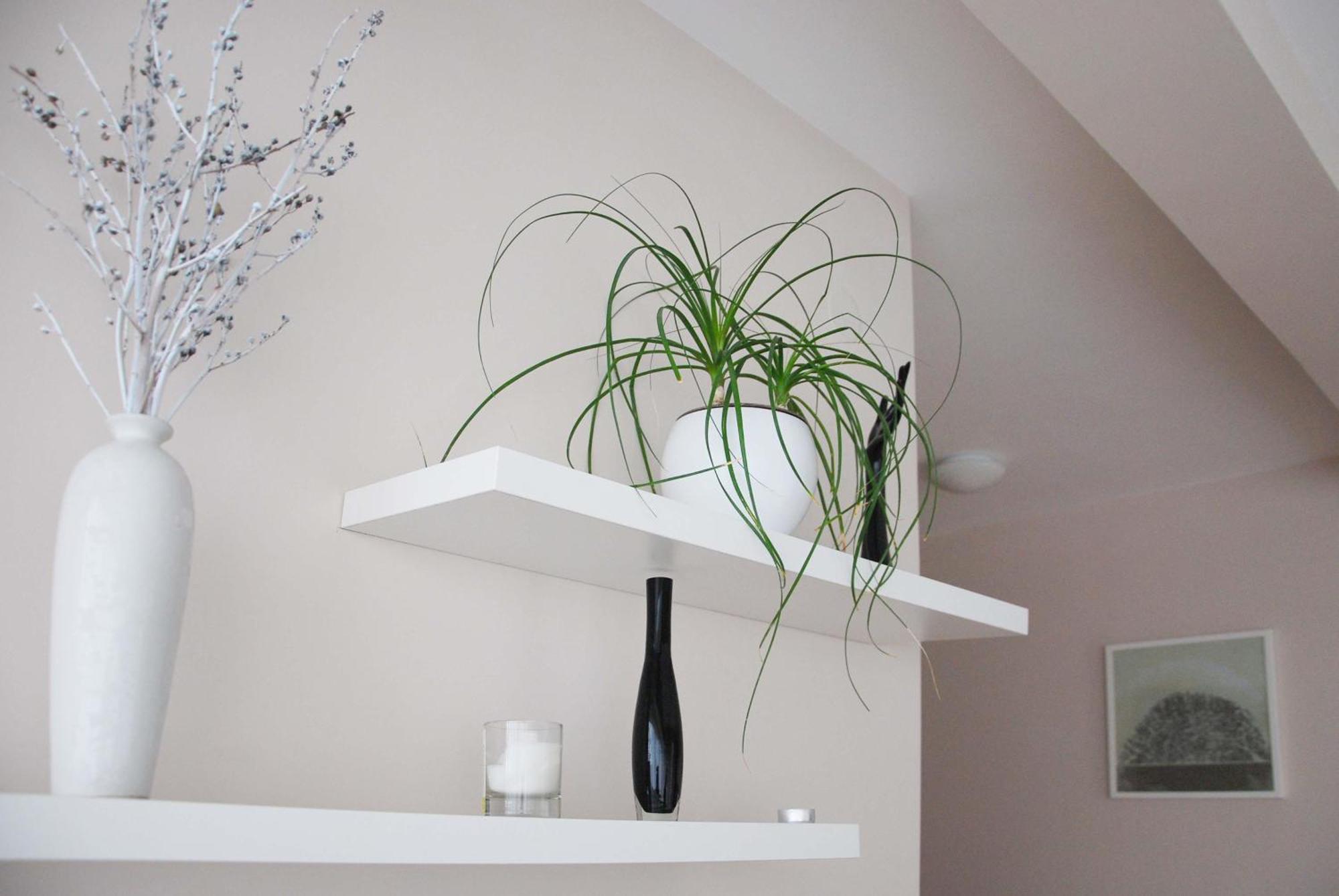 Apartments Iva Тиват Экстерьер фото