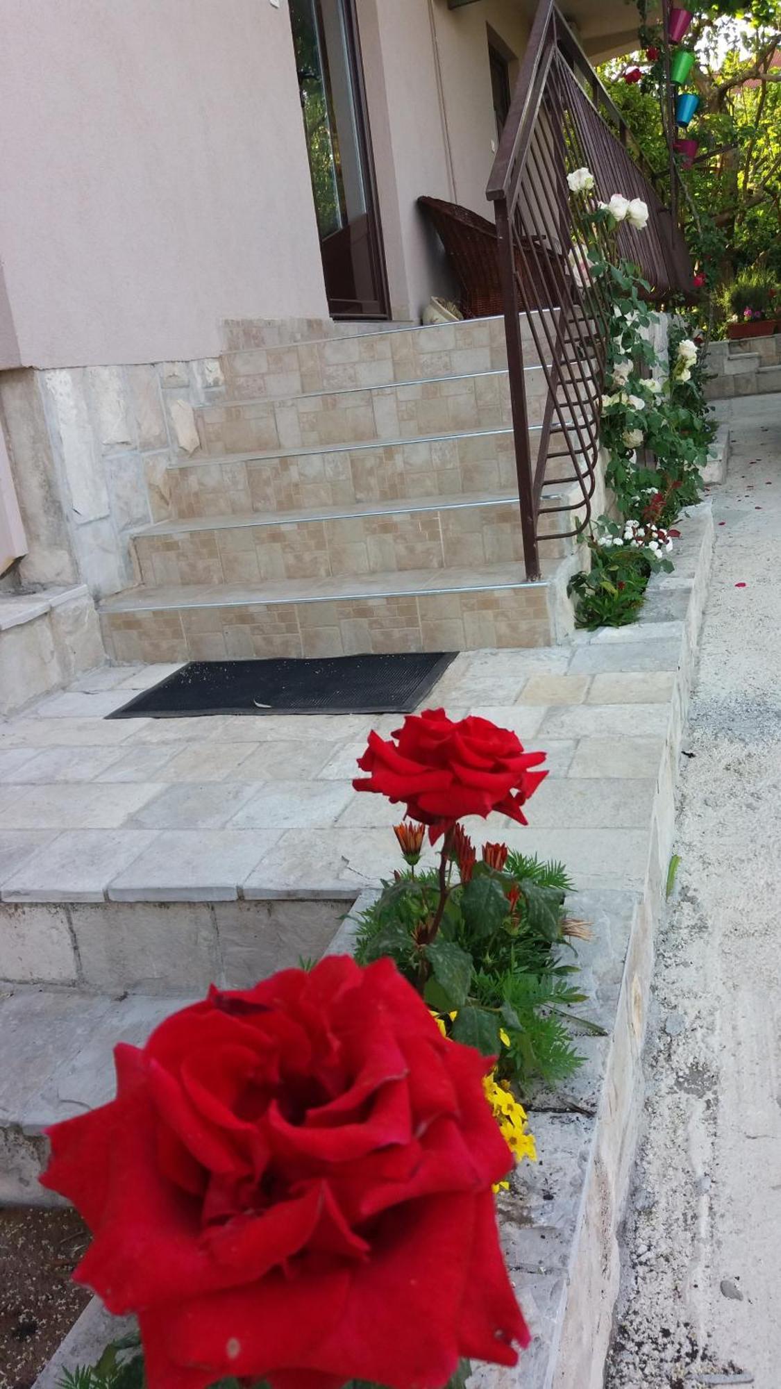 Apartments Iva Тиват Экстерьер фото